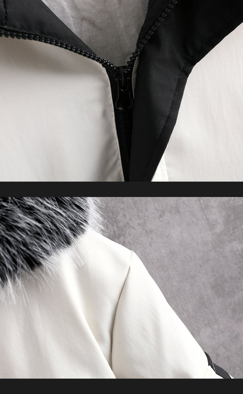 BD-QK Jacket — جاكيت BD-QK